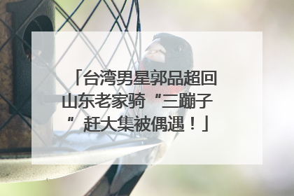 台湾男星郭品超回山东老家骑“三蹦子”赶大集被偶遇！