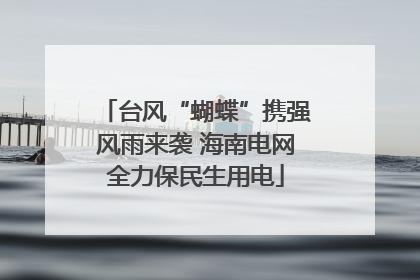 台风“蝴蝶”携强风雨来袭 海南电网全力保民生用电