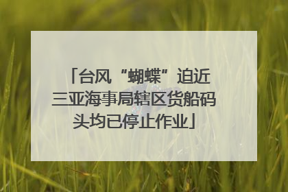 台风“蝴蝶”迫近 三亚海事局辖区货船码头均已停止作业