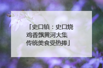 史口镇：史口烧鸡香飘黄河大集 传统美食受热捧