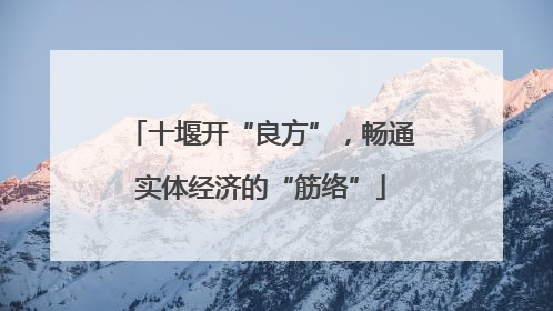 十堰开“良方”，畅通实体经济的“筋络”