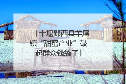 十堰郧西县羊尾镇“甜蜜产业”鼓起群众钱袋子