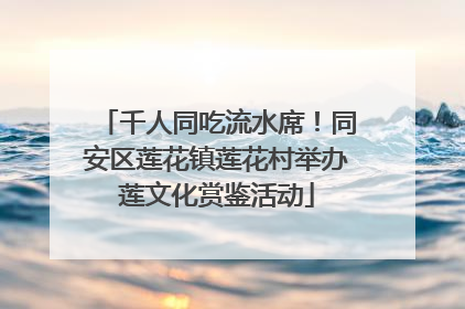 千人同吃流水席！同安区莲花镇莲花村举办莲文化赏鉴活动
