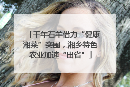 千年石羊借力“健康湘菜”突围，湘乡特色农业加速“出省”