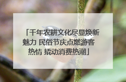 千年农耕文化尽显焕新魅力 民俗节庆点燃游客热情 撬动消费热潮