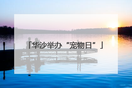 华沙举办“宠物日”