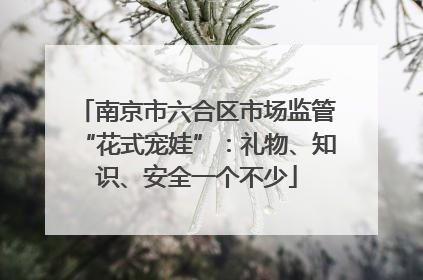 南京市六合区市场监管“花式宠娃”：礼物、知识、安全一个不少