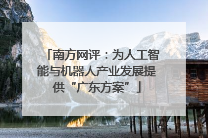 南方网评：为人工智能与机器人产业发展提供“广东方案”