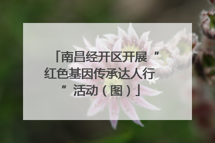 南昌经开区开展“红色基因传承达人行”活动（图）
