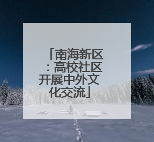 南海新区：高校社区开展中外文化交流