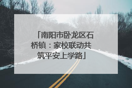 南阳市卧龙区石桥镇：家校联动共筑平安上学路