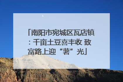 南阳市宛城区瓦店镇：千亩土豆喜丰收 致富路上迎“薯”光