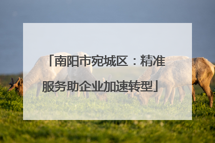 南阳市宛城区：精准服务助企业加速转型