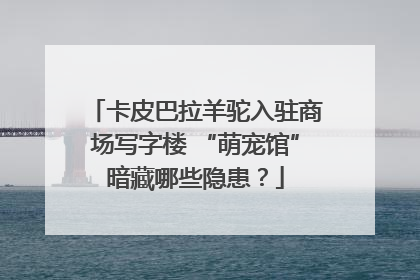 卡皮巴拉羊驼入驻商场写字楼 “萌宠馆”暗藏哪些隐患？