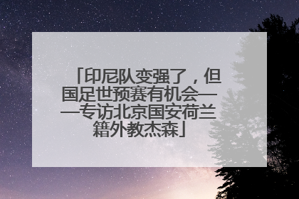 印尼队变强了，但国足世预赛有机会——专访北京国安荷兰籍外教杰森