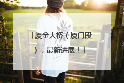 厦金大桥（厦门段），最新进展！