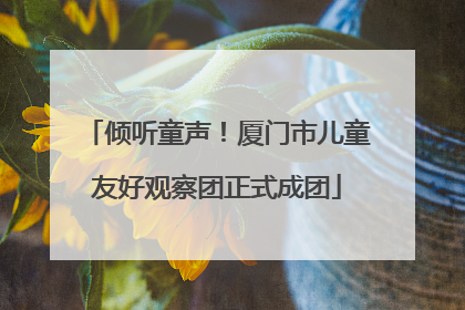 倾听童声!厦门市儿童友好观察团正式成团