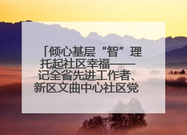 倾心基层“智”理 托起社区幸福——记全省先进工作者、新区文曲中心社区党委书记董世弘