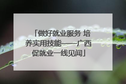 做好就业服务 培养实用技能——广西促就业一线见闻
