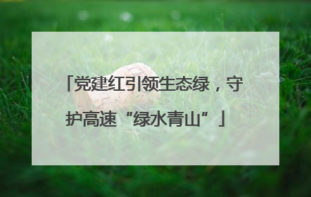 党建红引领生态绿，守护高速“绿水青山”