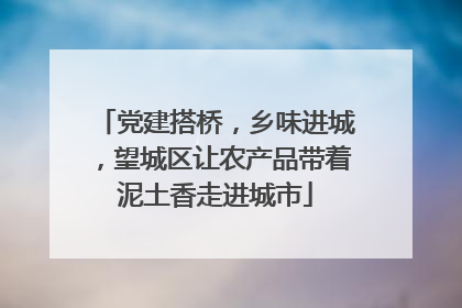 党建搭桥，乡味进城，望城区让农产品带着泥土香走进城市