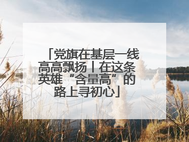 党旗在基层一线高高飘扬丨在这条英雄“含量高”的路上寻初心