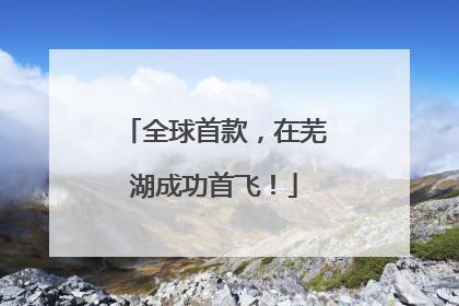 全球首款，在芜湖成功首飞！