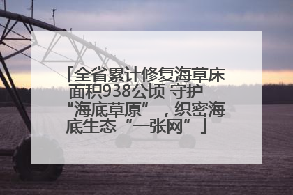 全省累计修复海草床面积938公顷 守护“海底草原”，织密海底生态“一张网”