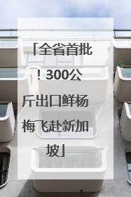 全省首批！300公斤出口鲜杨梅飞赴新加坡