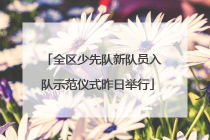 全区少先队新队员入队示范仪式昨日举行