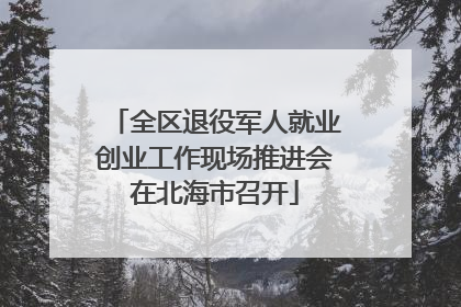 全区退役军人就业创业工作现场推进会在北海市召开