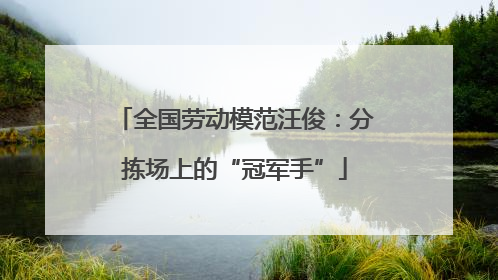 全国劳动模范汪俊：分拣场上的“冠军手”