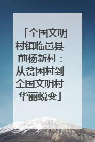 全国文明村镇临邑县前杨新村：从贫困村到全国文明村华丽蜕变