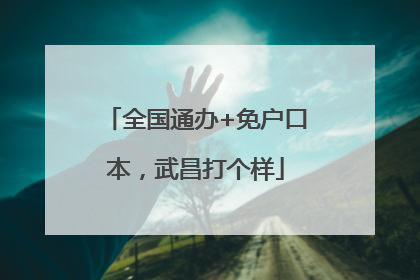 全国通办+免户口本，武昌打个样