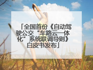 全国首份《自动驾驶公交“车路云一体化”系统联调导则》白皮书发布