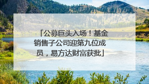 公募巨头入场！基金销售子公司迎第九位成员，易方达财富获批