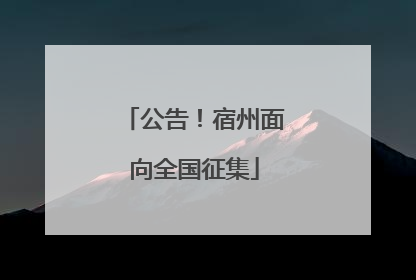 公告！宿州面向全国征集