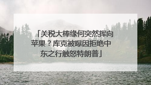 关税大棒缘何突然挥向苹果？库克被曝因拒绝中东之行触怒特朗普