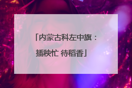内蒙古科左中旗：插秧忙 待稻香