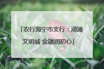 农行海宁市支行：潮涌文明城 金融润初心