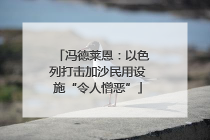 冯德莱恩：以色列打击加沙民用设施“令人憎恶”