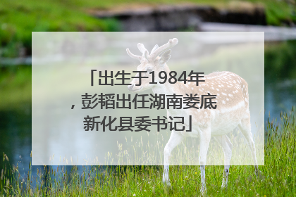 出生于1984年，彭韬出任湖南娄底新化县委书记