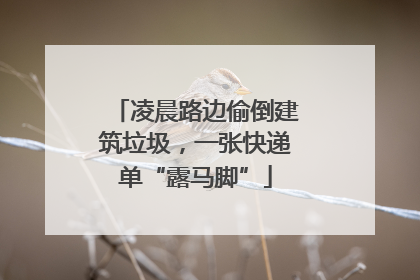 凌晨路边偷倒建筑垃圾，一张快递单“露马脚”