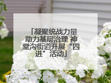 凝聚统战力量 助力基层治理 神堂沟街道开展“四进”活动