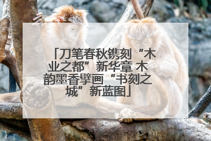 刀笔春秋镌刻“木业之都”新华章 木韵墨香擘画“书刻之城”新蓝图