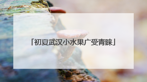 初夏武汉小水果广受青睐