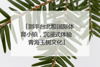 到丰台北粮国际体育小镇，沉浸式体验青海玉树文化