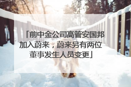 前中金公司高管安国邦加入蔚来，蔚来另有两位董事发生人员变更