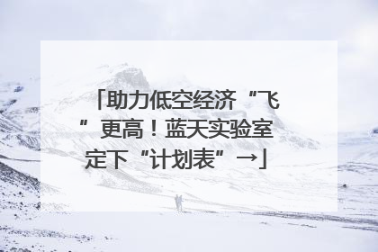 助力低空经济“飞”更高！蓝天实验室定下“计划表”→
