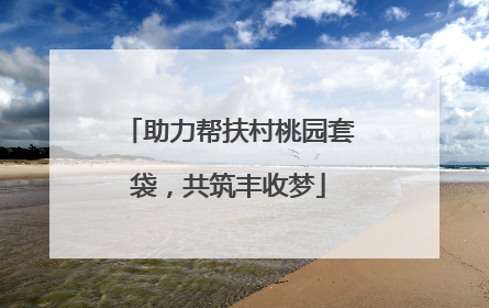 助力帮扶村桃园套袋，共筑丰收梦